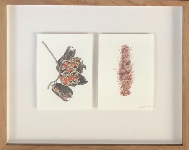 Isabella Kuijers, ‘Objects Out of Context iii’, 2019, Drawing, Collage or other Work on Paper, Watercolour and pencil on paper, 99 Loop Gallery