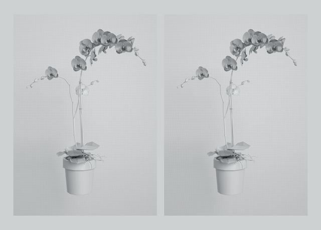 Kerem Ozan Bayraktar, ‘Twins’, 2019, Print, Computer Generated Image, Sanatorium