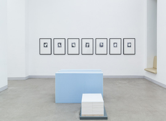 Exhibition view
»...like a phantom limb...«, Gallery Raum mit Licht, 2014 Exhibition view
»...like a phantom limb...«, Gallery Raum mit Licht, 2014