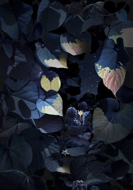 Ruud Van Empel, ‘Floresta Negra #6’, 2018, Huxley-Parlour