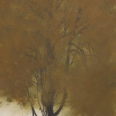 Hong Zhu An