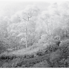 John Blakemore