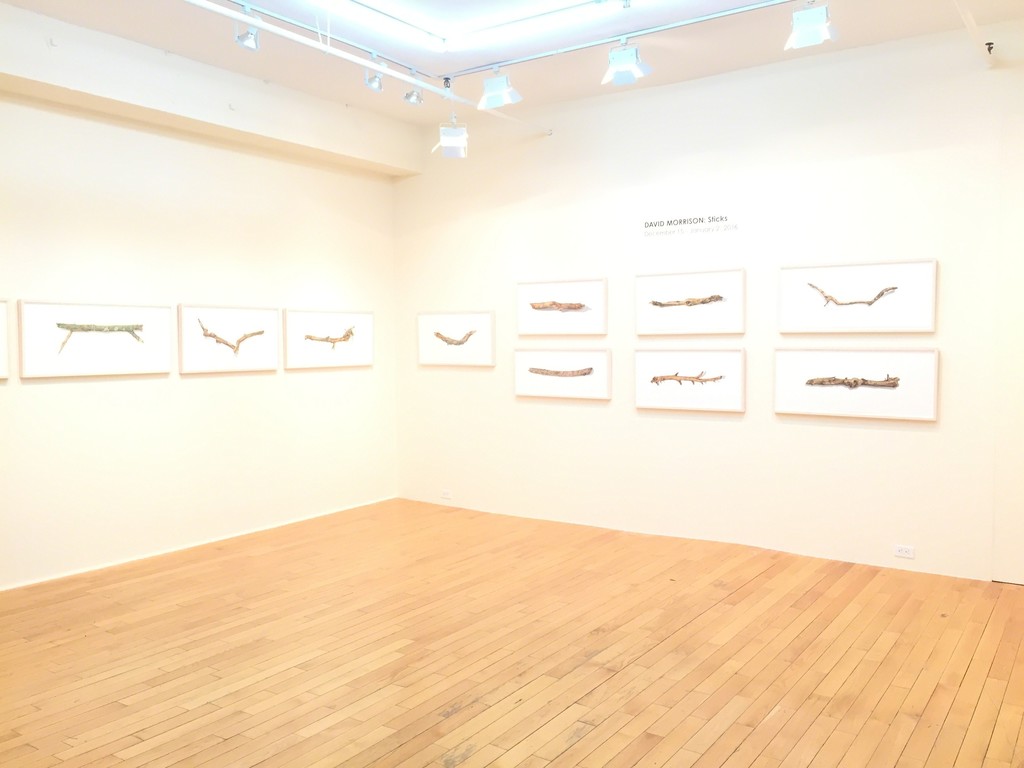 David Morrison 'Sticks', 2015. Installation Shot. David Morrison 'Sticks', 2015. Installation Shot.