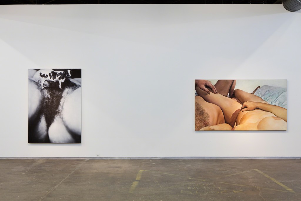 Black Sheep Feminism. Installation view, Dallas Contemporary, 2016. Photo: Kevin Todora Black Sheep Feminism. Installation view, Dallas Contemporary, 2016. Photo: Kevin Todora