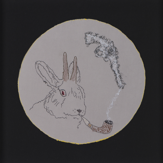 Secret Life of a Rabbit