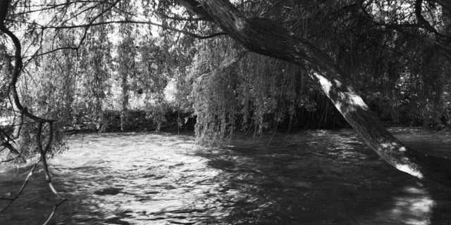 Penelope Stewart, ‘Evanescent II, black and white photograph on archival paper’, 2019, CMS Art Projects