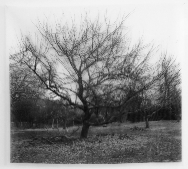 Penelope Stewart, ‘Les Vergers I, black and white photograph on transparent silk, double image’, 2019, CMS Art Projects