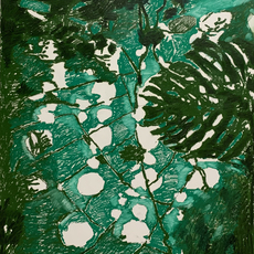 Joel Werring
