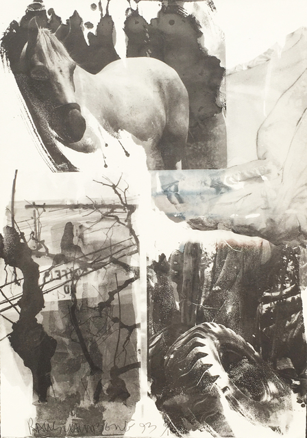 Robert Rauschenberg, ‘Horse Silk (Deluxe Edition)’, 1993, Eckert Fine Art