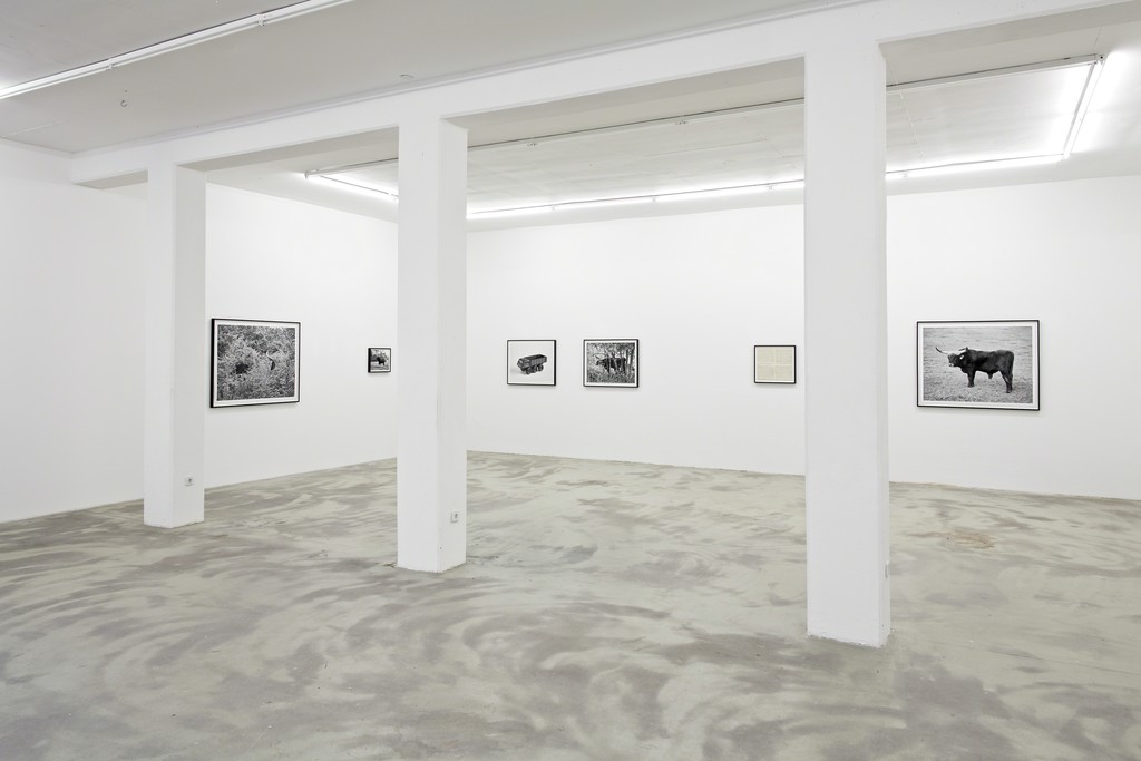 UR, 2015, exhibition view at KLEMM'S Berlin UR, 2015, exhibition view at KLEMM'S Berlin