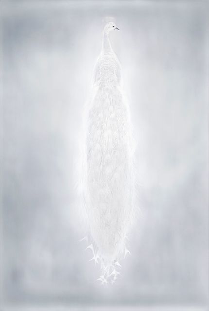Adam Fuss, ‘From the series 'My Ghost'’, 2011, Photography, Pigment print, Xavier Hufkens