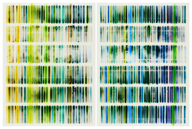 Jaq Chartier | Green/Blue Chart (2018) | Available for Sale | Artsy