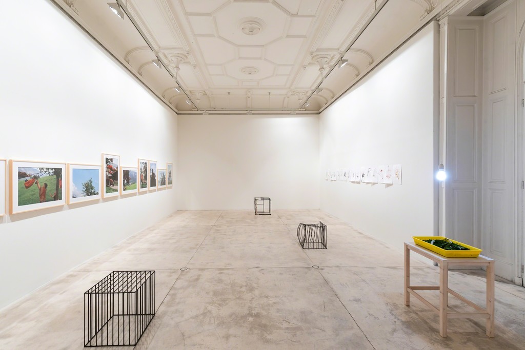 courtesy Galerie Krinzinger and the artist / photo copyright Tamara Rametsteiner courtesy Galerie Krinzinger and the artist / photo copyright Tamara Rametsteiner