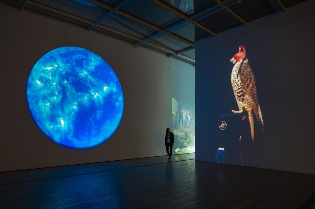 Installation photograph, "Diana Theater: The Sympathetic Imagination," Los Angeles County Museum of Art, November 22, 2015 - February 21, 2016. Courtesy of Diana Thater. Photo: Fredrik Nilsen. Installation photograph, "Diana Theater: The Sympathetic Imagination," Los Angeles County Museum of Art, November 22, 2015 - February 21, 2016. Courtesy of Diana Thater. Photo: Fredrik Nilsen.