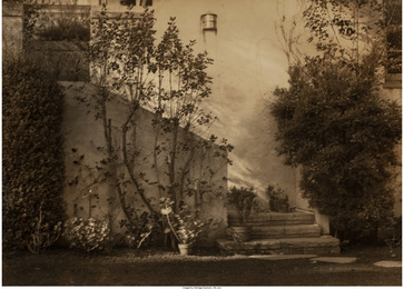 Untitled (Garden steps)