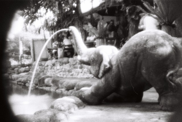 Undeniably an elephant