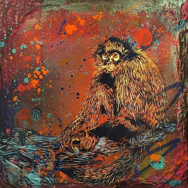 C215, ‘Monkey ’, 2017, Mazel Galerie