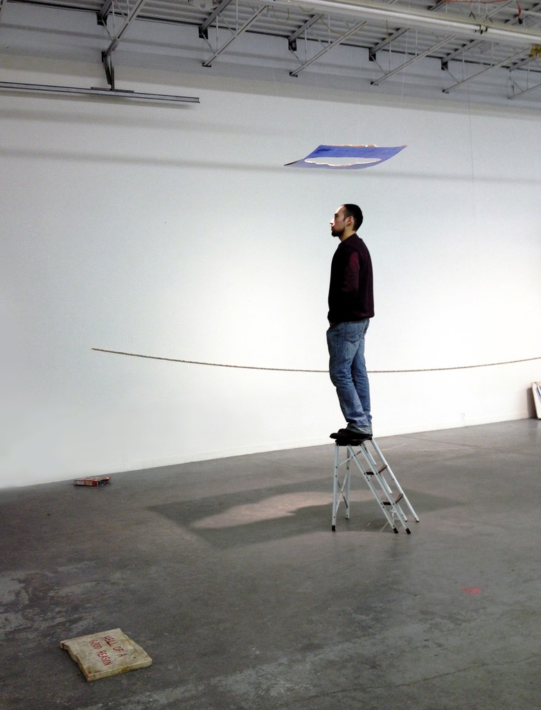 Installation view, Chameleon, 2016 Installation view, Chameleon, 2016