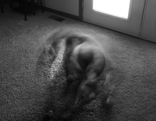 Daniel Coburn, ‘Apparition’, 2014, Elizabeth Houston Gallery
