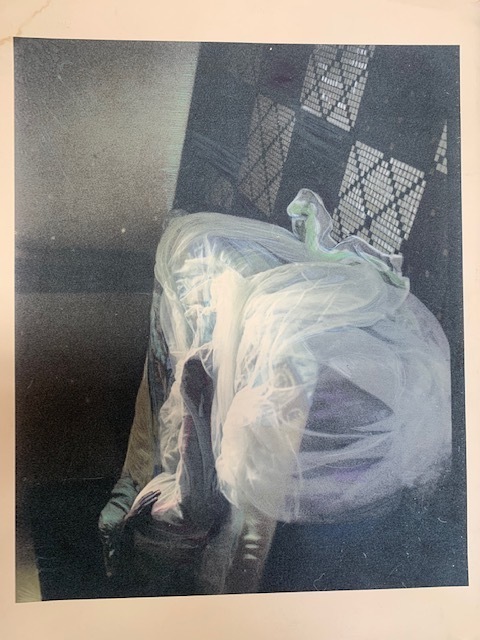 Lara Gasparotto, ‘untitled’, 2018, Stieglitz19