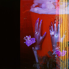 Deborah Roan