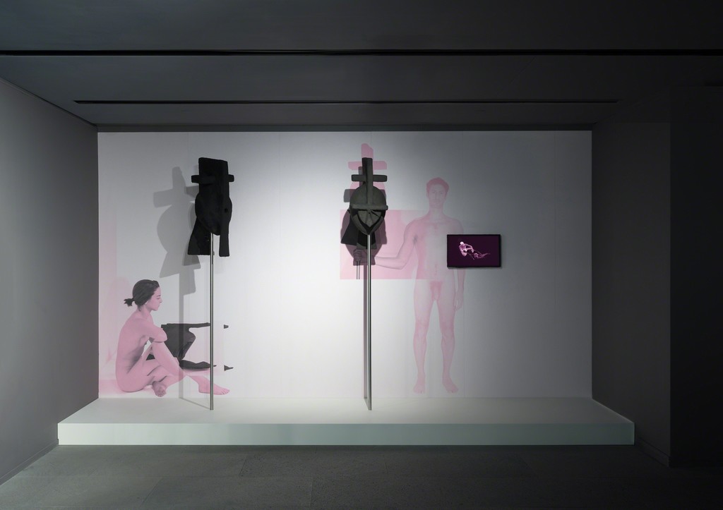 Stripping the Force (Chapter 1. Mourn): dimensions variable
Installation
2018 Stripping the Force (Chapter 1. Mourn): dimensions variable
Installation
2018