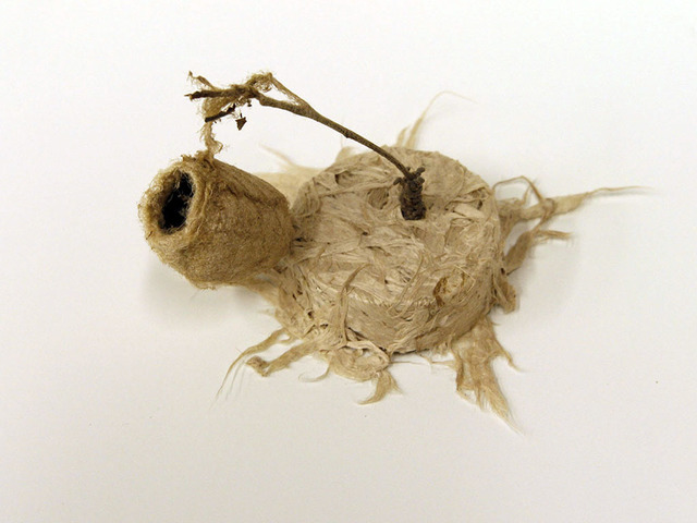 Rachel Muldez, ‘Aloft’, 2016, Sculpture, Mulberry bark, cocoon, chia seeds, Ro2 Art