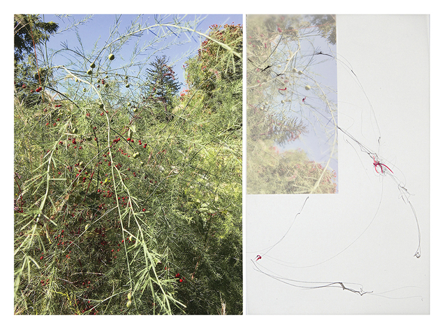 Sandi Haber Fifield, ‘Untitled (LF17#152)’, 2016, Photography, Archival digital pigment print with mixed media, Robert Klein Gallery