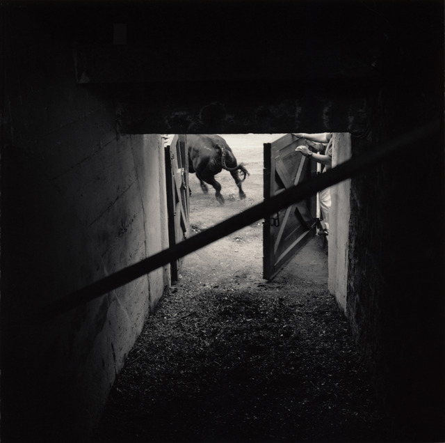 Hiroshi Watanabe, ‘Plaza de Toros 13’, 2000, Micheko Galerie