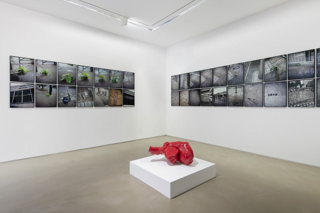 Jean-Luc Moulène, La Vigie (extraits), Paris, 2004-2011, installation view at Galerie Chantal Crousel (2019). Courtesy the artist and Galerie Chantal Crousel, Paris. Photo: Martin Argyroglo © Jean-Luc Moulène / ADAGP, Paris (2019) Jean-Luc Moulène, La Vigie (extraits), Paris, 2004-2011, installation view at Galerie Chantal Crousel (2019). Courtesy the artist and Galerie Chantal Crousel, Paris. Photo: Martin Argyroglo © Jean-Luc Moulène / ADAGP, Paris (2019)