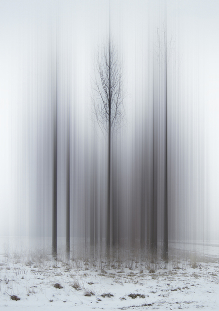Ellen Jantzen, ‘Promise of Spring’, 2013, Bruno David Gallery