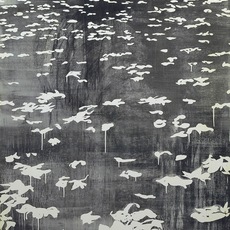 LU Song 吕松