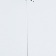 林定義Dingyi Lin