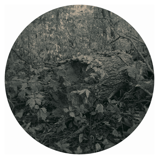 Ted Kincaid, ‘Trinity 1111’, 2015, Photography, Talley Dunn Gallery