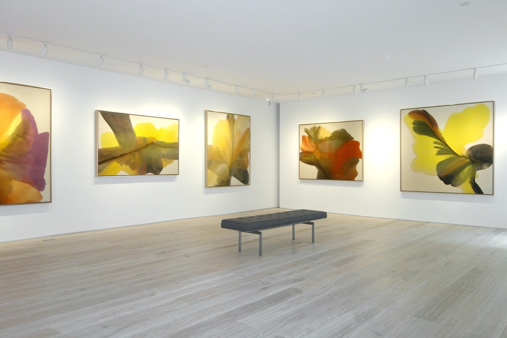 Irene Monat Stern - Installation view Irene Monat Stern - Installation view