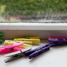Jessica Backhaus