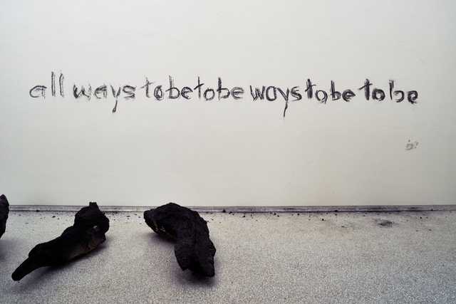 herman de vries, ‘burned III (Installation view)’, 2015, 56th Venice Biennale