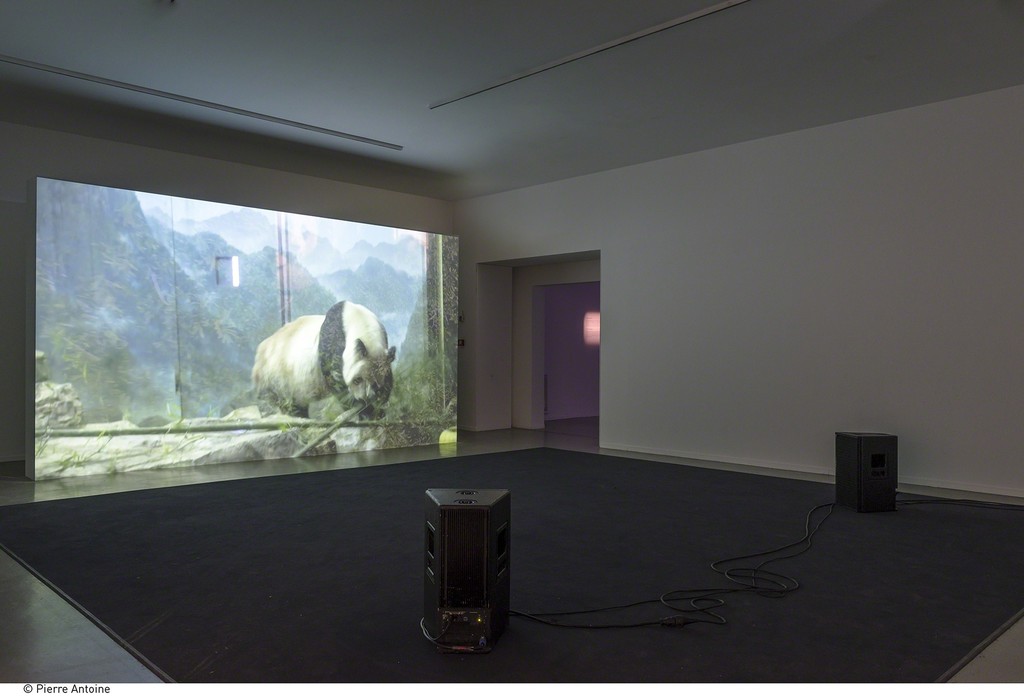 Installation view of "Co-Workers: Network as Artist" at Musée d'Art Moderne de la Ville de Paris (2015-2016) Installation view of "Co-Workers: Network as Artist" at Musée d'Art Moderne de la Ville de Paris (2015-2016)