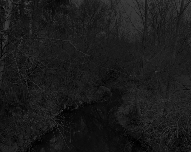 Dawoud Bey | Night Coming Tenderly, Black: Untitled #19 (Creek and Trees)  (2017) | Available for Sale | Artsy