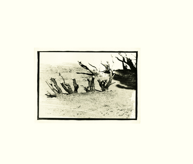 David Lynch, ‘Untitled IV’, 1999, Tandem Press