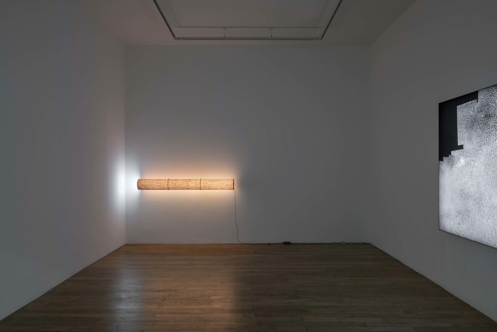 Seth Price, Self As Tube, Galerie Chantal Crousel, Paris (2019). Courtesy of the artist and Galerie Chantal Crousel, Paris. Photo: Martin Argyroglo Seth Price, Self As Tube, Galerie Chantal Crousel, Paris (2019). Courtesy of the artist and Galerie Chantal Crousel, Paris. Photo: Martin Argyroglo