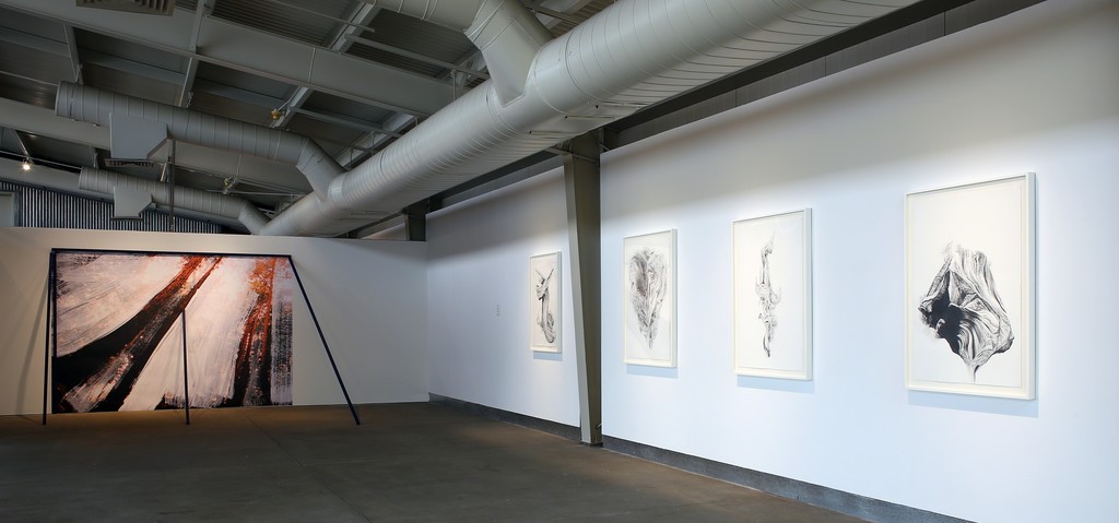 Installation view of Radical Landscapes. February 6 - April 3, 2016. di Rosa, Napa. Photo: J. Jones Installation view of Radical Landscapes. February 6 - April 3, 2016. di Rosa, Napa. Photo: J. Jones