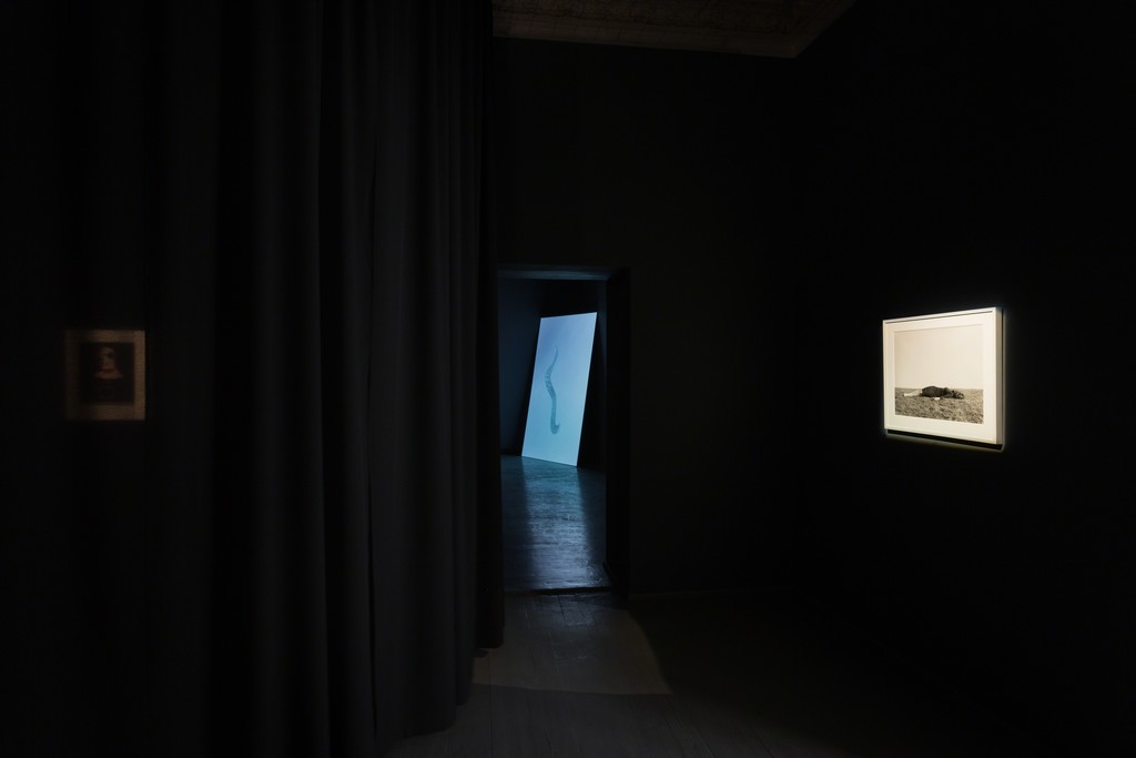 Exhibition view Exhibition view