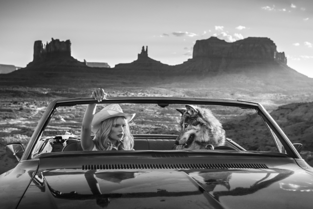 David Yarrow, ‘The Break Up’, 2018, Fineart Oslo
