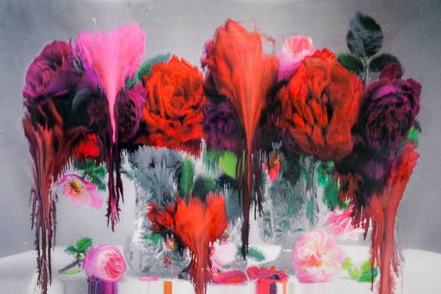 Nick Knight, ‘Dog (horizontal)’, 2012, CHRISTOPHE GUYE GALERIE
