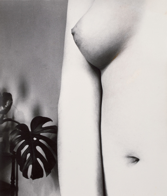 Bill Brandt Campden Hill London Nude With Plant Artsy