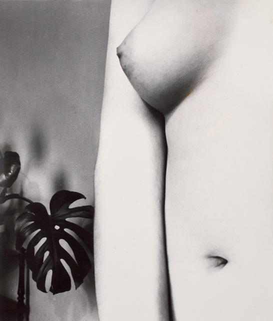 Bill Brandt Campden Hill London Nude With Plant 1978 Artsy