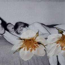 Linder Sterling