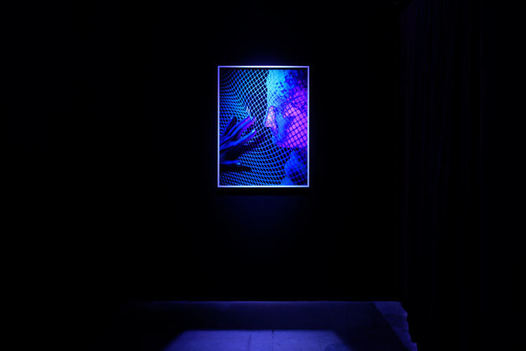Julie Weitz, 'The Hand Network: Humdog, a prelude', 2017, installation view, Chimento Contemporary. Photo: Ruben Diaz Julie Weitz, 'The Hand Network: Humdog, a prelude', 2017, installation view, Chimento Contemporary. Photo: Ruben Diaz