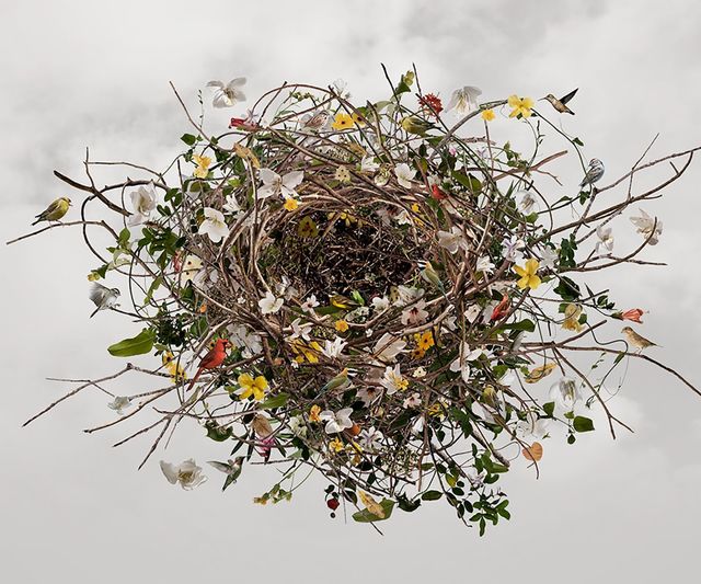 Ysabel Lemay, ‘Nurturing Life ’, 2010 , The Directed Art Modern